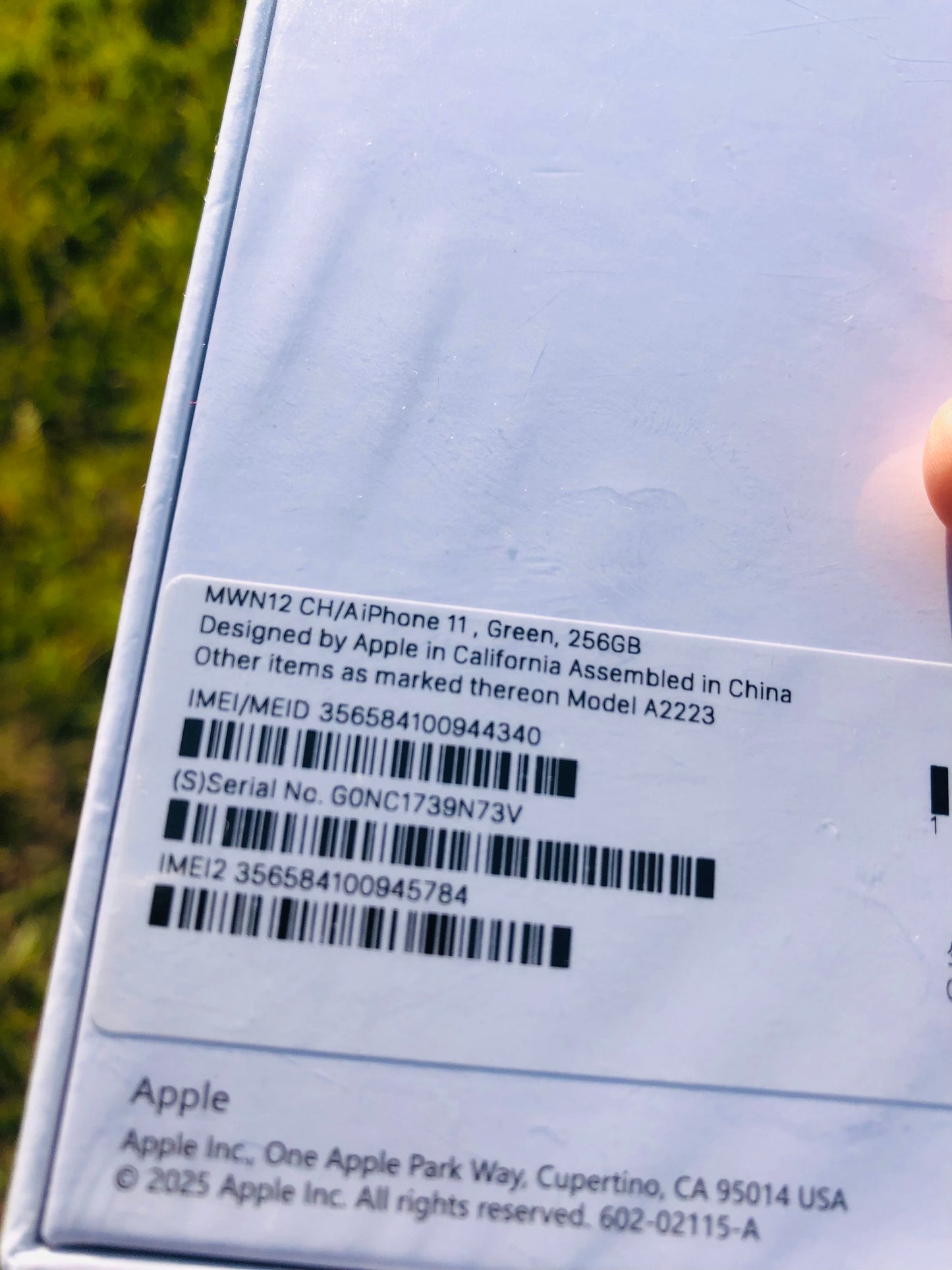 iPhone 11 256g green